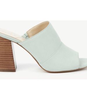 Sole Society Joannah Mint Mule